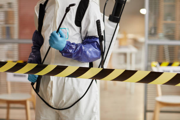 Professional Sewage Cleanup technician working in Haworth, NJ